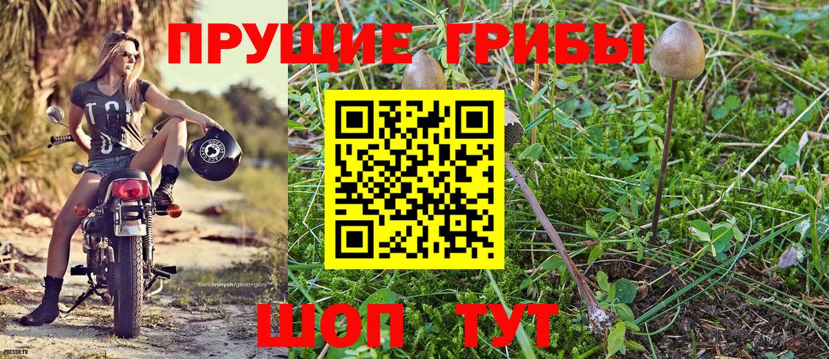 A PVP СОЛЬ   Вход с VPN  Каннабис  Коммунар  Гашиш  Лсд 25  КОКАИН  Наркошоп  Меф МЯУ МЯУ кристаллы  Экстази 