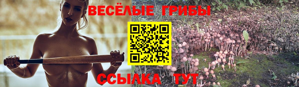 Галлюциногенные грибы Cubensis Коммунар