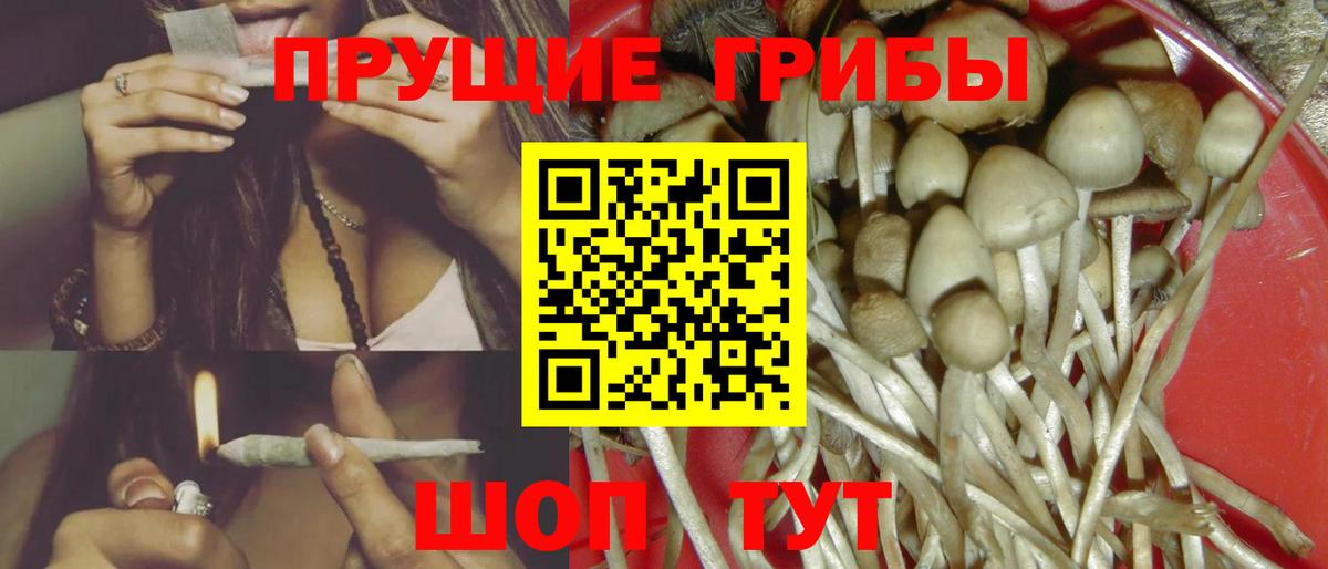 Псилоцибиновые грибы Psilocybe  Вход с VPN  Коммунар  Псилоцибиновые грибы мухоморы 